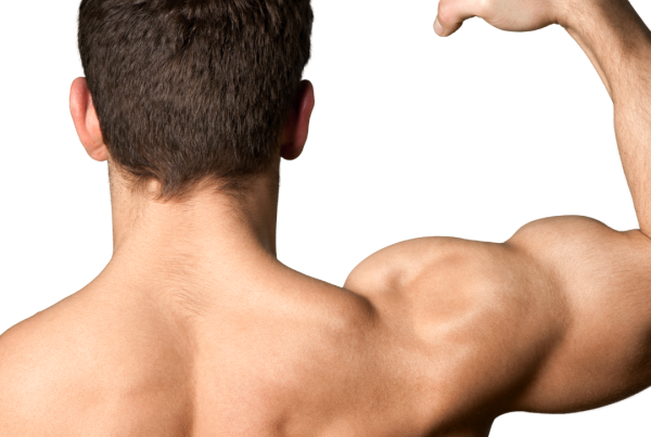 Testosterone And Muscle Mass