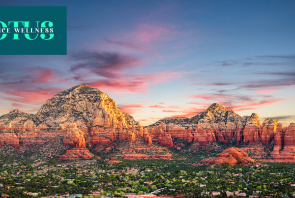 Things To Do In Chandler Arizona